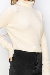 Willow Turtleneck Sweater