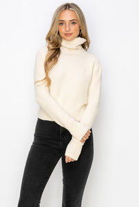 Willow Turtleneck Sweater